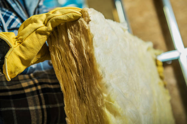 Best Insulation Removal  in Maplewood, WA